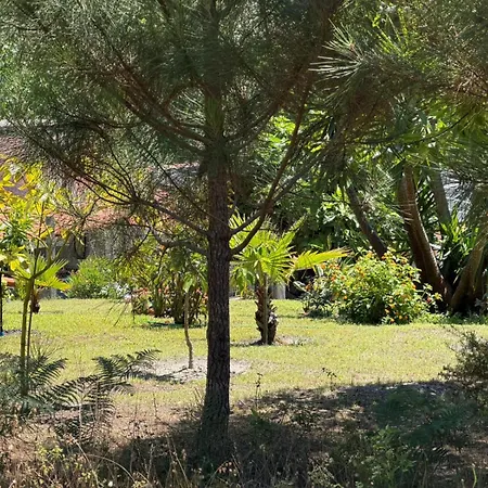 Paraiso Flores Апартаменты